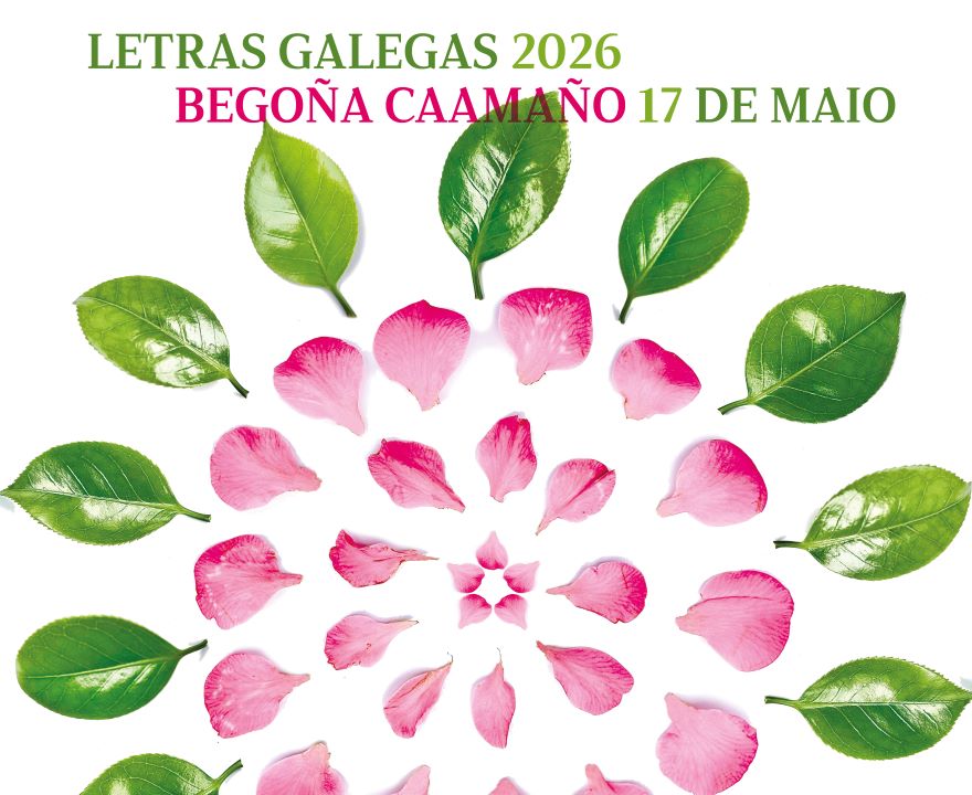 Santiago acolle o pleno do Día das Letras Galegas de Begoña Caamaño